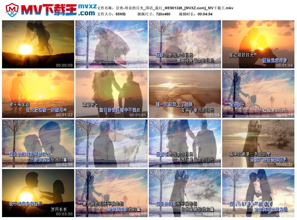 甘玫-母亲的目光_国语_流行_ME901326